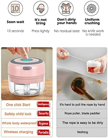 Electric Mini Garlic Mincer, 100ML USB Vegetable Onion Chopper