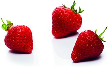 Kitchen Craft Stainless Steel Strawberry Huller/Corer