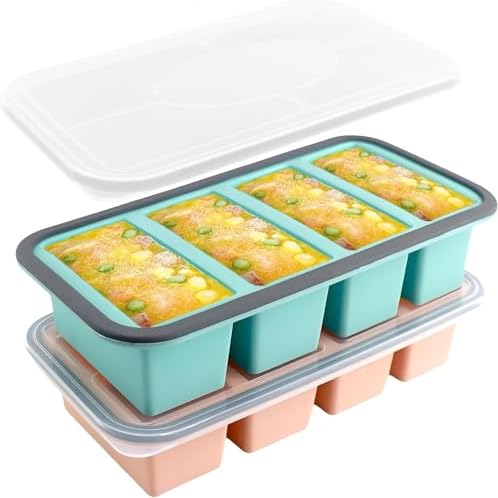 RAYBIN 1 Cup Silicone Freezer Molds with Lid, 2-Pack Soup Ice Cube Trays