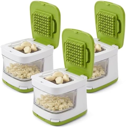 Mini Garlic Chopper and Press with Container (3 Pcs)
