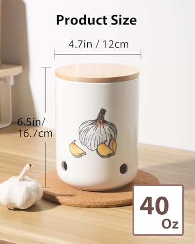 Ceramic Garlic Keeper, Garlic Holder, Garlic Storage Container, Colorful