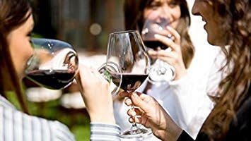 Blue Knob Essential Wine Aerator
