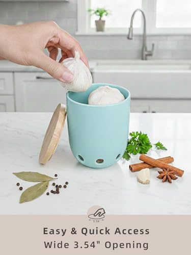 LEETOYI Ceramic Garlic Keeper for Counter, Garlic Holder with Wood Lid (Turquoise)