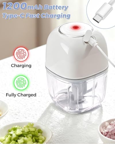 Joyzan Electric Garlic Chopper, Mini Food Processor Veggie Grinder 350ML