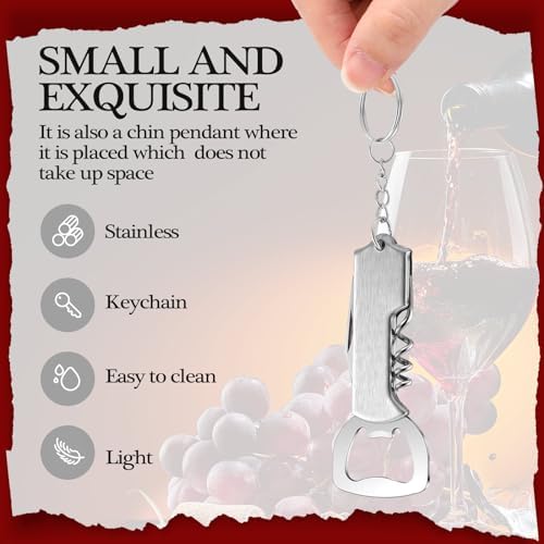 Ziliny 48 Pcs Wine Bottle Opener Keychains Bulk Corkscrew, Silver