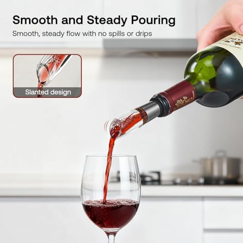 Elegant Wine Aerator Pourer Spout by ELMWAY - Clear Wine Air Aerator Enhances Flavor, Aroma & Finish, No Spill Design, Wine Accessory Gift for Wine Lovers - Gunmetal