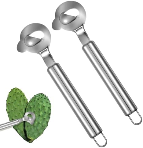 2 Pack Cactus Peeler Spoon, Stainless Steel Pelador de Nopales Multi-Function Spoon Shape Cutter with Long Handle Spoons Cactus Thorn Removal Tool for Carrot Potato Vegetables