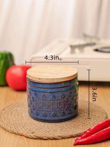 GDCZ Garlic Keeper with Lid, Ceramic Garlic Holder, 4.3 Inch (Blue)