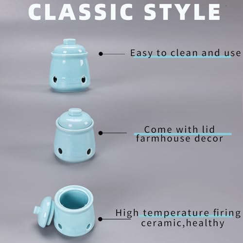 Ceramic Garlic Keeper with Lid, Mini Garlic Saver Container for Countertop, Kitchen Decor (Turquoise)