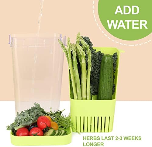 LUVCOSY Herb Keeper, BPA-Free Plastic Herb Saver with an Inner Basket for Cilantro, Mint, Parsley, and Asparagus, Keeps Fresh Herbs for 3 Times Longer,1Pcs, Green