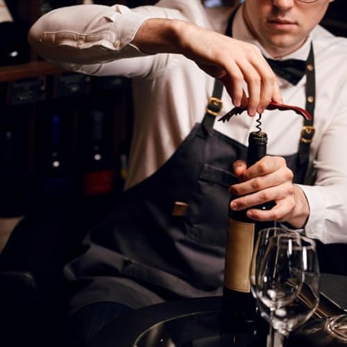 Wine Opener Waiter Corkscrew, Professional Wine Key for Servers, Bartender with Foil Cutter, Manual Wine Bottle Opener Double Hinged (2 Gift Box, Black)