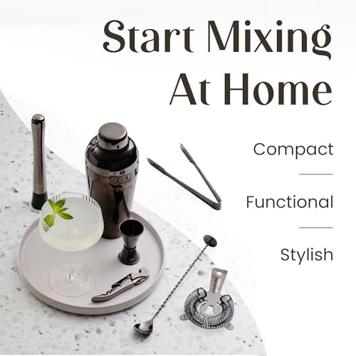 Mixology & Craft Cocktail Shaker Set with Bamboo Stand - Professional 10-Piece Bartender Kit - Complete Bar Set & Cocktail Mixer Kit for Home (Gun-Metal)