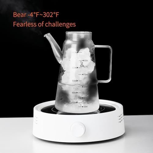 Glass Oil and Vinegar Dispenser with Stainless Steel Lid, No Drip Kitchen 20Oz Liquid Container, Large Cruet (Clear, 600ml)