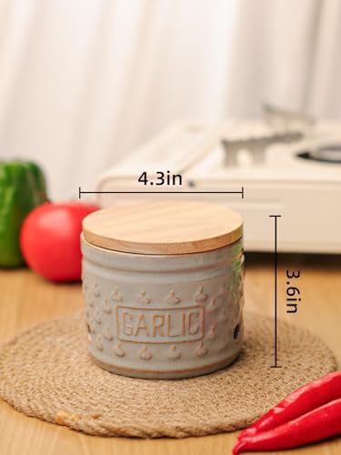 GDCZ Garlic Keeper with Lid, Ceramic Garlic Holder, 4.3 Inch (Grey)