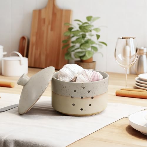 Honeydak 1 Pcs Large Ceramic Garlic Keeper with Lid & Holes, 4" x 4.5" Decorative Countertop Storage Container for Farmhouse Kitchen, Keeps Garlic Cloves Fresh, White