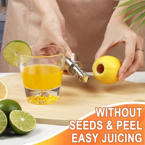 KAYCROWN 18/8 Stainless Steel Manual Lemon Juicer Squeezer, Easy Squeeze Small Hand Juicer and Reamer, Hand Citrus Juicer and Lemon Pourer, Screw Limes squeezer, Dishwasher Safe, Pack of 2