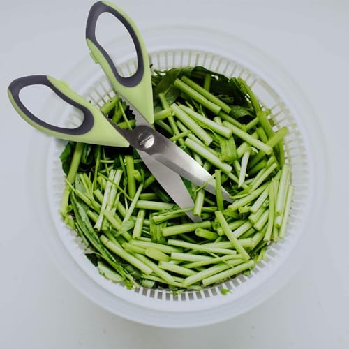 Premium Kitchen Shears - Bay Leaf Green - 1 Scissor