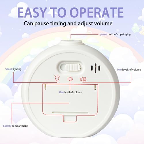 Visual Timer for Kids 60 Minute Countdown Timer for Classroom Study Office Kitchen with Silent Operation RoundTimer (Purple)