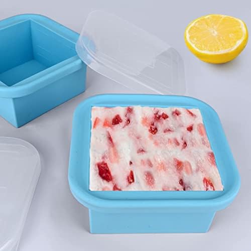 2 Cup Silicone Freezer Trays with Lid 2 Pack Silicone Freezer Molds Make 2 Perfect Soups, Broths, Stews, Sauces, Curries