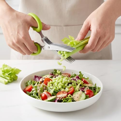 2027 New Herb Scissors with 5 Thickened Sharp Blades