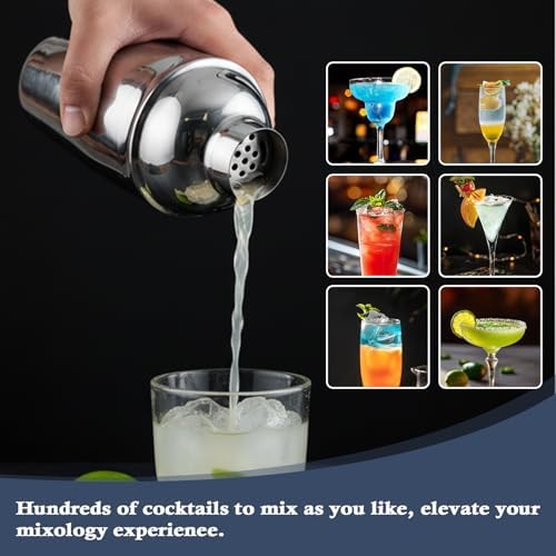 Cocktail Shaker Set,13Piece Bartender Kit,Bar Tool Set,Bar Cart Accessories