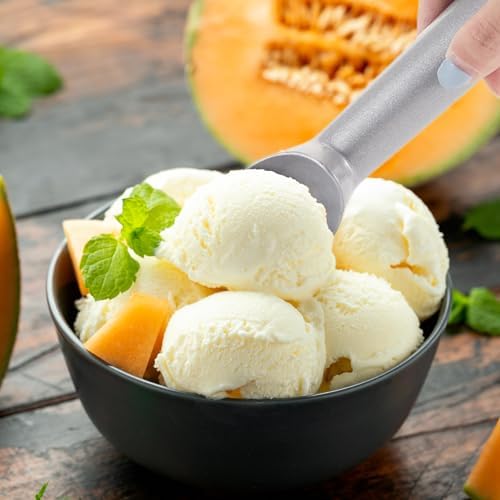 Gejoy 16 Pcs Ice Cream Scoop Set, Ice Cream Scoops 7 Inch, Silver