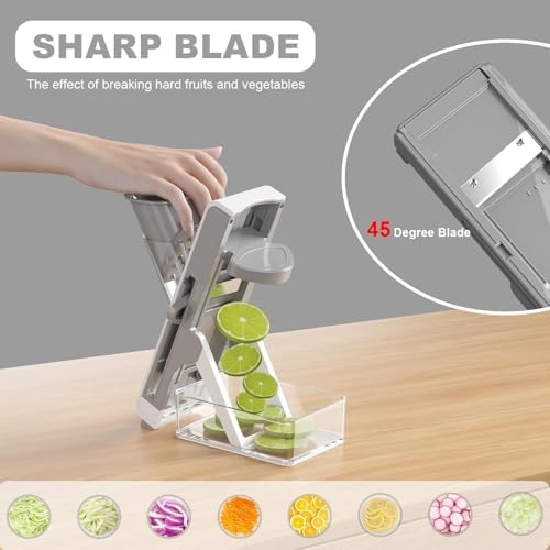 Eletronova Safe Mandoline Slicer for Kitchen, Vegetable Slicer with Container, French Fry Cutter, All in 1 Julienne Slicer for Potato, Thickness Adjustable, Detachable Blade (Gray)