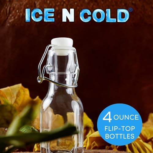ICE N COLD Glass Swing Top Bottles | Flip Top Glass Bottles for Limoncello, Syrups, Oils, Vinegar, Extracts & Beverages | Airtight Reusable Glass Bottles (6-Pack, SMALL (110ml | 4oz))