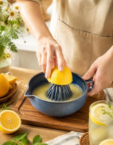 Manual Orange Juicer Lemon Lime Squeezer Citrus Juicer Press