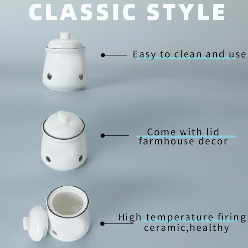 Ceramic Mini Garlic Keeper with Lid, Garlic Container Saver for Countertop, Keep Your Garlic Cloves Fresh (White)
