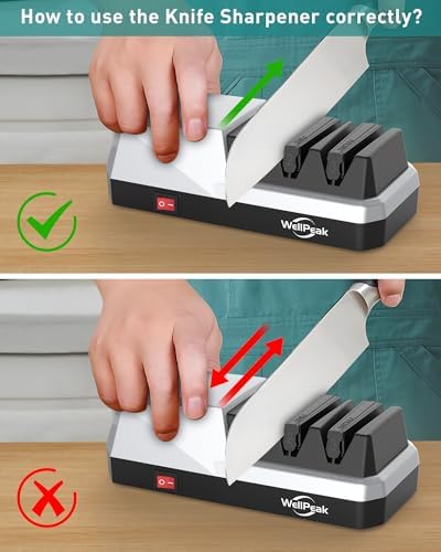 3-Stage Electric Knife Sharpener for 18/20-Degree Knifes, Diamond Abrasive Sharpening for Straight Edge Chef Knives, Ceramic Hone for Chef Knives, Serrated Knives Polishing (SILVER, 3-Stage)