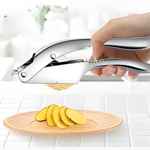 2-in-1 Stainless Steel Garlic Press & Ginger Slicer with Ergonomic Handle