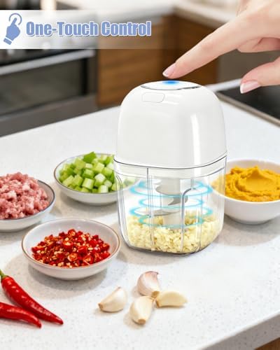 Joyzan Electric Garlic Chopper, Mini Food Processor Veggie Grinder 350ML