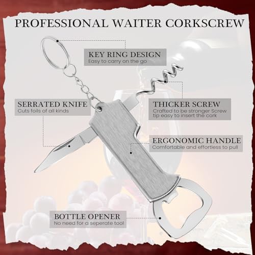Ziliny 48 Pcs Wine Bottle Opener Keychains Bulk Corkscrew, Silver