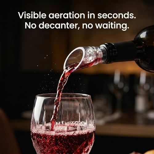 TenTen Labs Wine Aerator Pourer (2-Pack), Decanter Spout, Black
