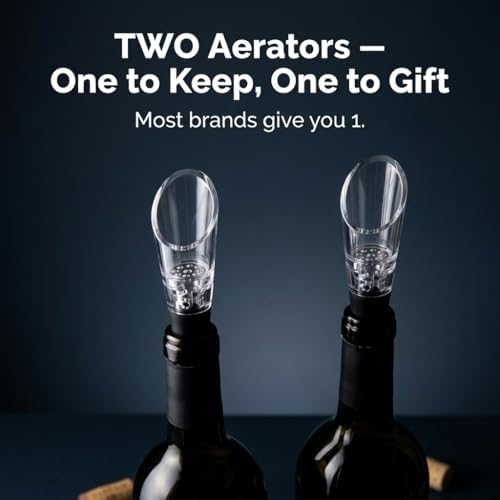 TenTen Labs Wine Aerator Pourer (2-Pack), Decanter Spout, Black