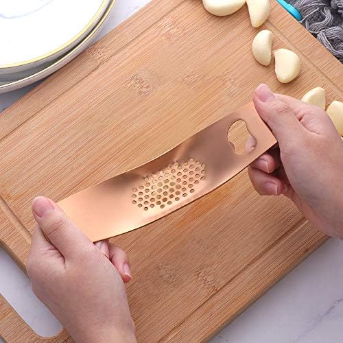 Stainless Steel Garlic Press Mincer,Kitchen Gadget with Handle,Easy Use &Clean, Dishwasher Safe,for Nuts & Seeds (Rose Gold)