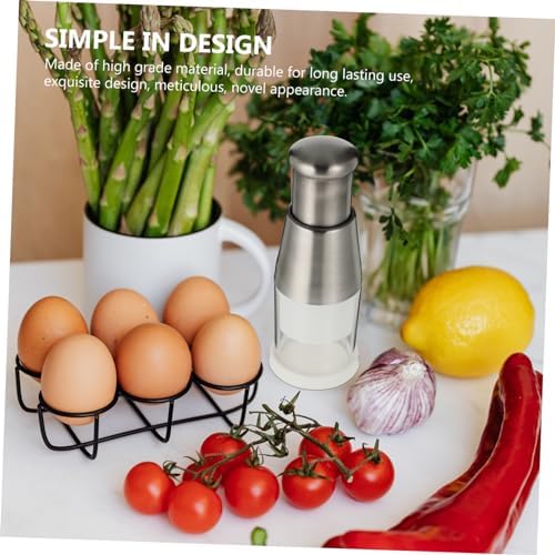 Stainless Steel Manual Garlic Crusher Chopper White Kitchen Tool