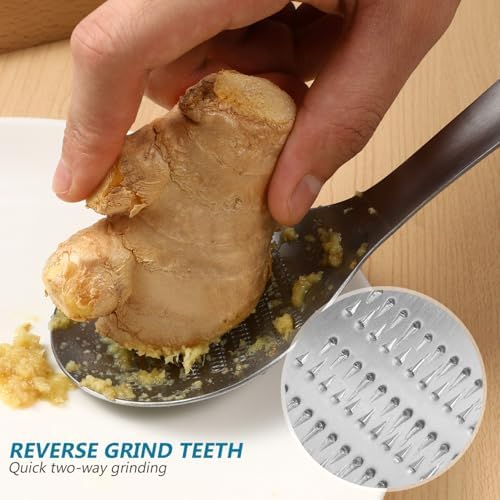 2Pcs Stainless Steel Garlic Grinders Ginger Grater Zester Spoons Fruit Vegetable Grater Spoon for Kitchen