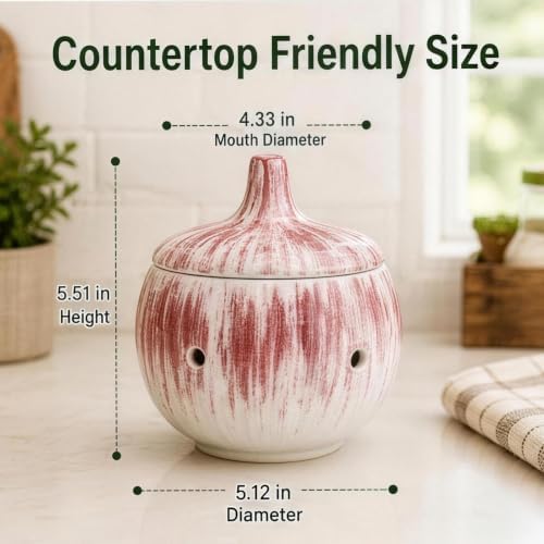 Brush Glaze Ceramic Garlic Container Keeper Holder Counter Storage Pot Kitchen Pantry Farmhouse Dining Table Countertop Organizer