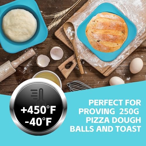Freezer Soup Tray Silicone Molds - 2 Cup Freezer Cube With Lid,Food Storage Container for Soup Sauce Meal Prep,4 Pack