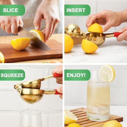SHIKORI Lemon Squeezer,304 Stainless Steel Citrus Press Juicer