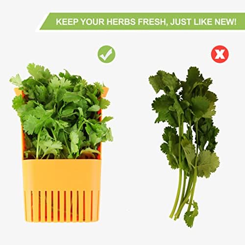 LUVCOSY Fresh Herb Keeper for Refrigerator, Clear BPA-Free Herb Saver, Storage Container for Cilantro, Parsley, Thyme, Mint & Asparagus, Preserver Keeps Fresh Herbs for 3 Times Longer, Orange