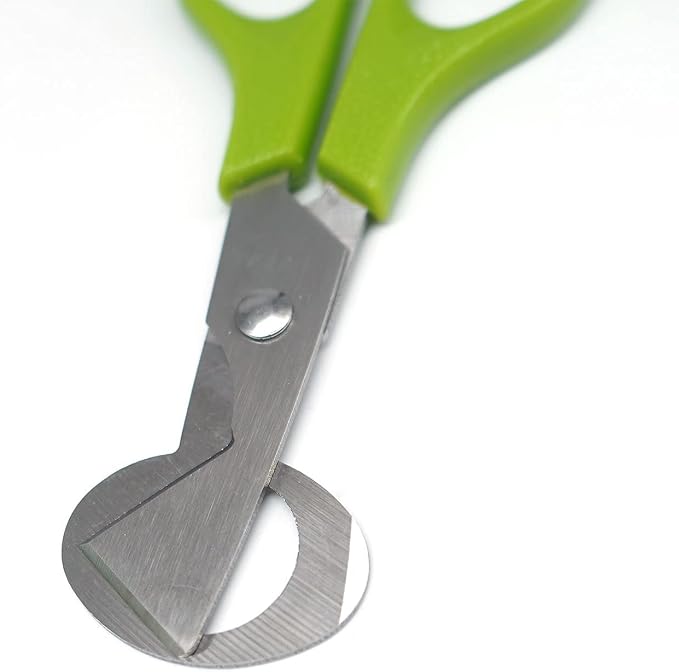 10 Pieces Stainless Steel Quail Egg Cutter Pigeon Quail Egg Shell Cutter Scissors Cracker Opener Clipper Kitchen Tools, Green