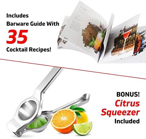 Bar Set Cocktail Shaker Set, Stainless Steel Mixology Bartender Kit, 16PC Silver Tools: 30oz Martini Shaker, Muddler, Kit Book, Jigger and Pourers