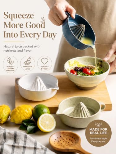 Manual Orange Juicer Lemon Lime Squeezer Citrus Juicer Press