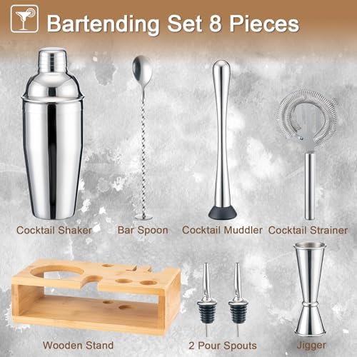 Briout Cocktail Shaker Set Bartender Kit with Stand, Silver