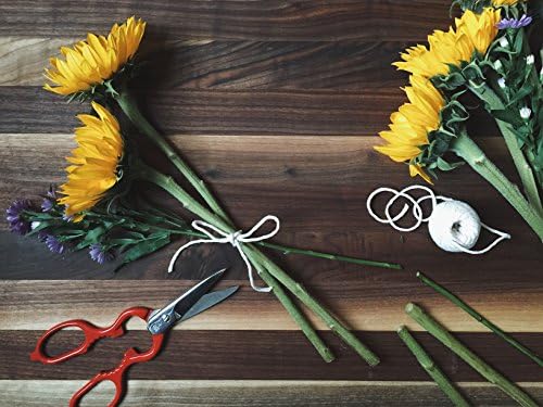 ZWILLING Kitchen Shears, Multi-Purpose, Bottle Opener, Jar Lid Lifter, Dishwasher Safe, Heavy Duty, Forged Stainless Steel Blades, Red 7.9-inch