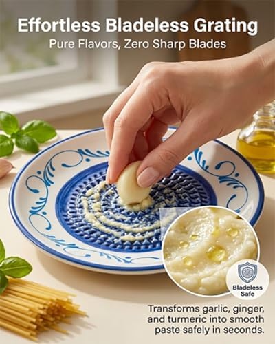 Ceramic Garlic Grater Plate Bowl for Food, Handheld Ginger Peeler Spanish Tomato Grater Dish Gradient Ginger Pottery Crusher Herb Stripper Porcelain Mincing Plate Grinder Kitchen Tool(#1)
