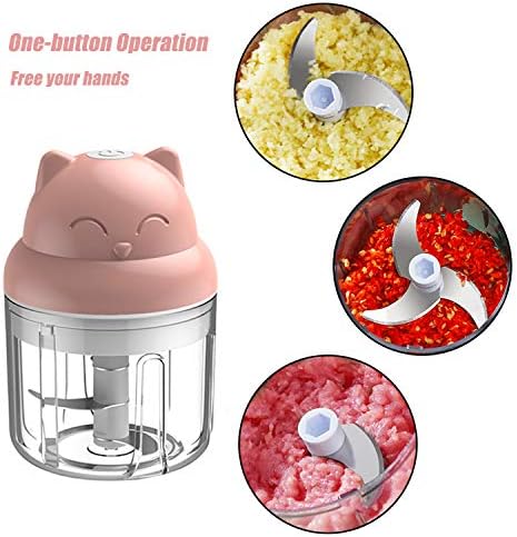 Mini Chopper, 250ml CarlCard Electric Garlic Chopper, Food Chopper for Garlic, Fruits, Onions, Vegetables, Meat, Pepper, Ginger, Salad, Baby Foods, Easy Cleaning